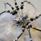 Beaded wire spider ornament featuring black seed beads, silver metal accents, and crystal-style details.